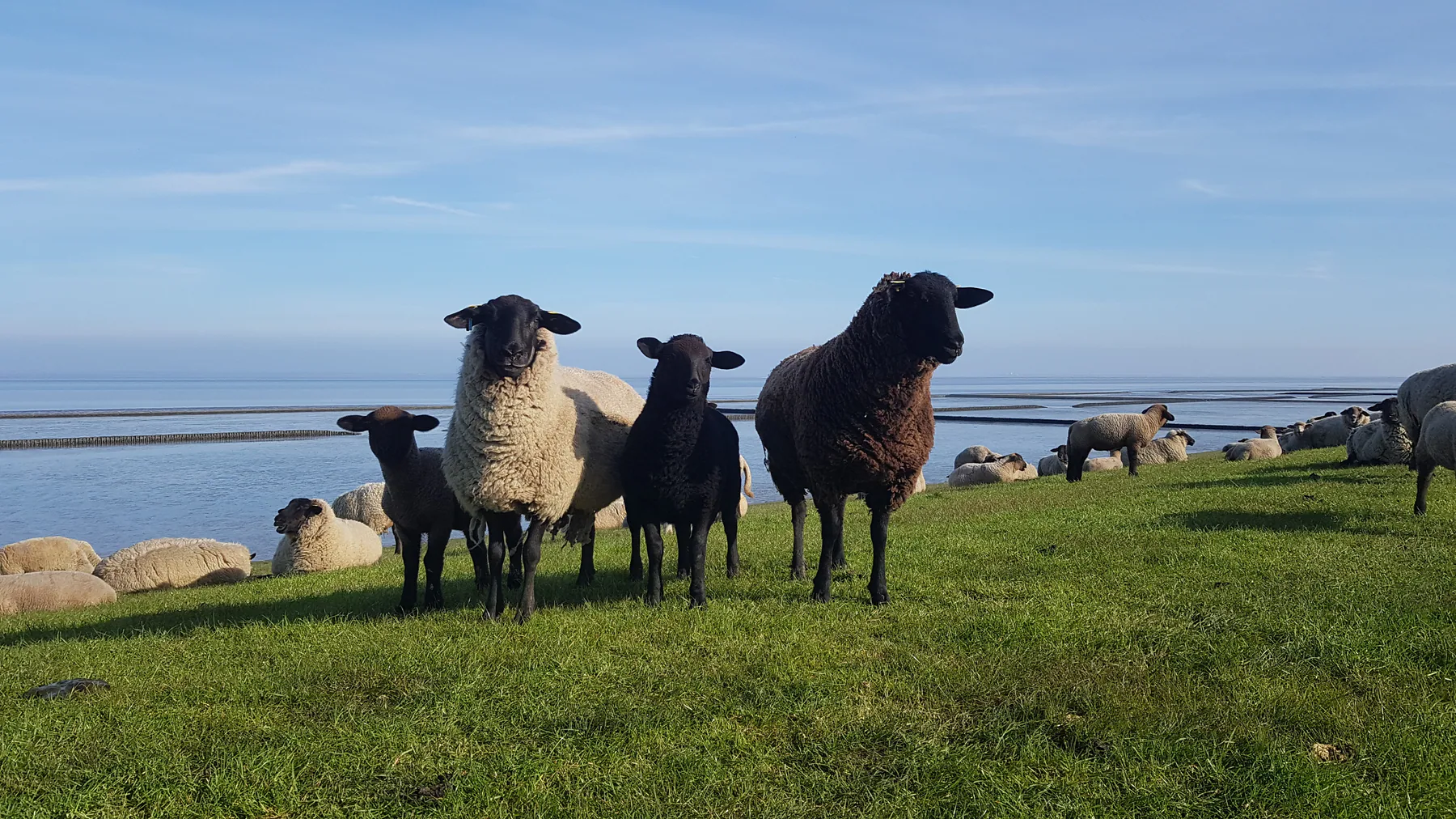 Groot Plaats und Umgebung – Ansicht 1