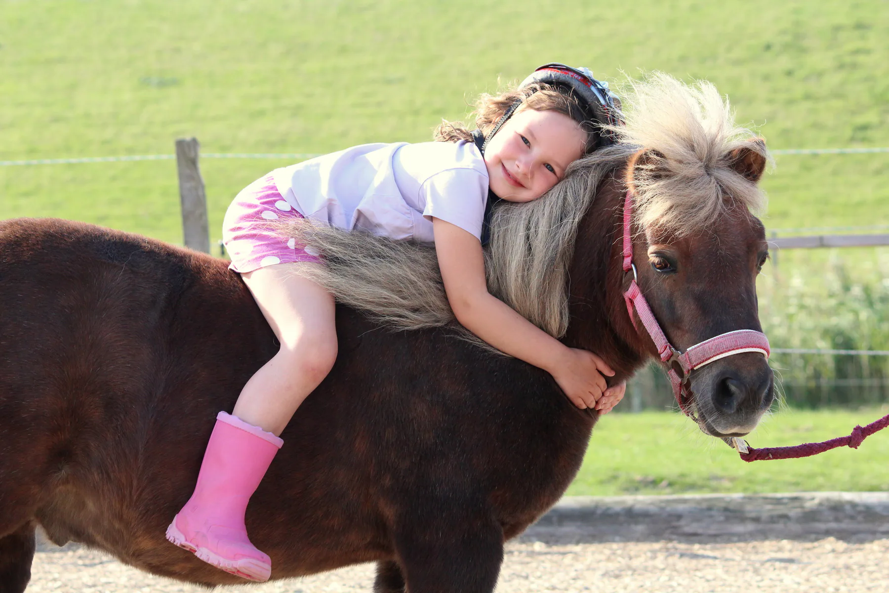 Ponyreiten im Nordseeurlaub auf und rund um Groot Plaats