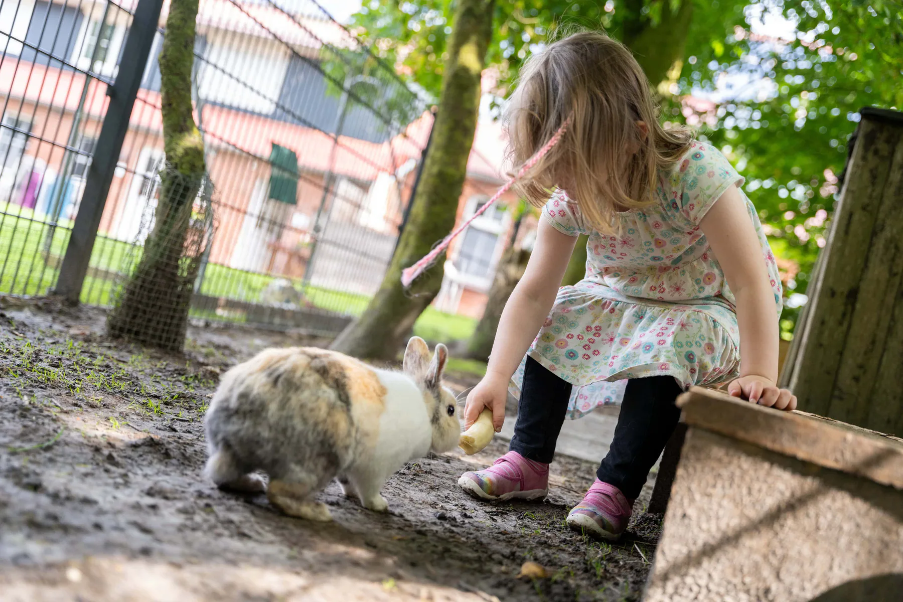 Groot Plaats und Umgebung – Ansicht 16