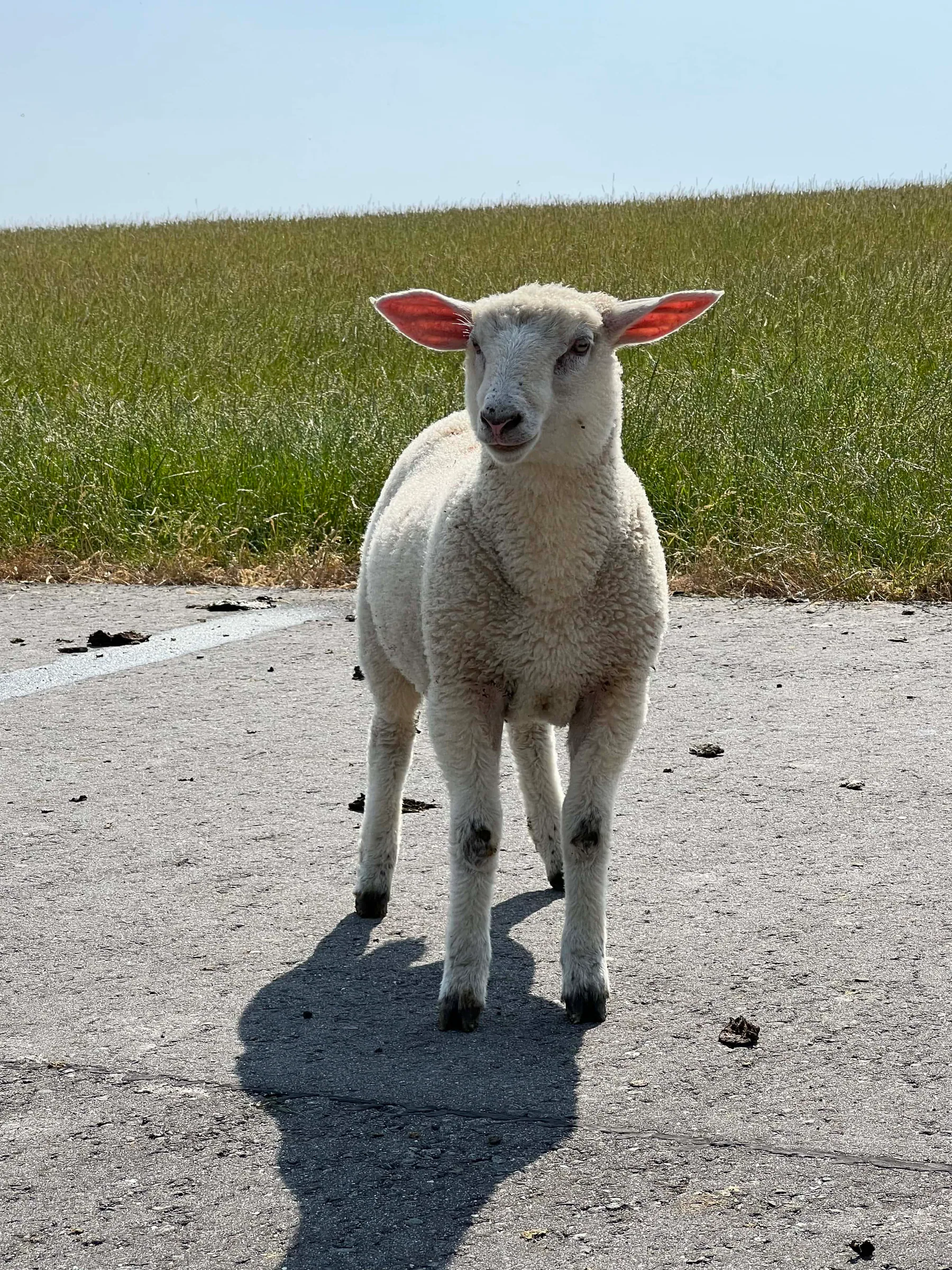 Groot Plaats und Umgebung – Ansicht 19