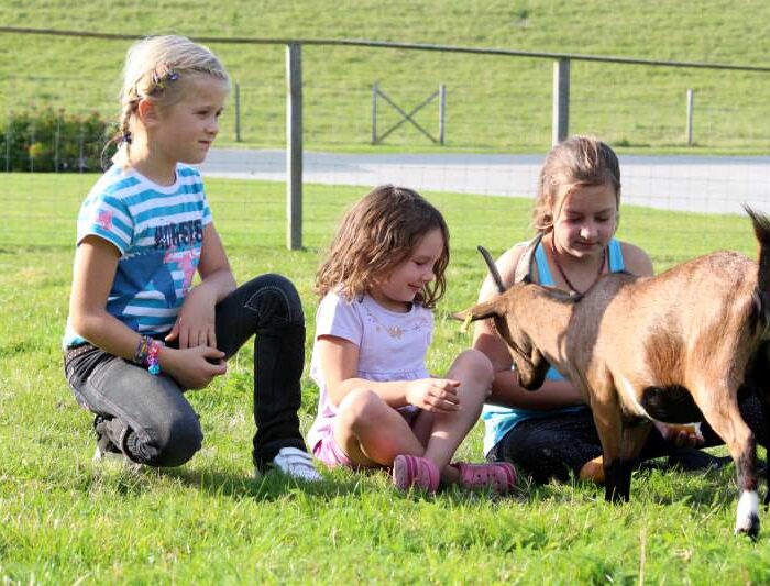 Unsere Tiere - Kleintiere im Nordseeurlaub