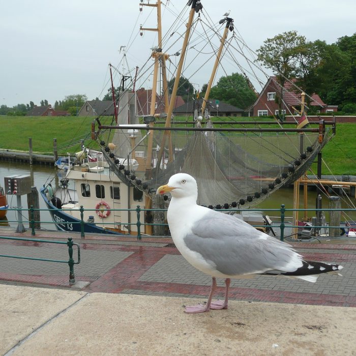 Greetsiel Fischerhafen