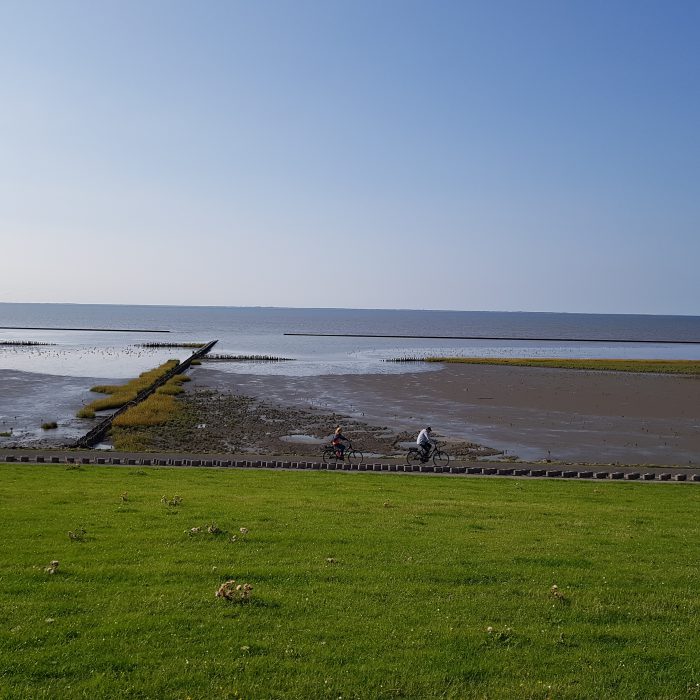 Fahrradfahren am Nordseedeich