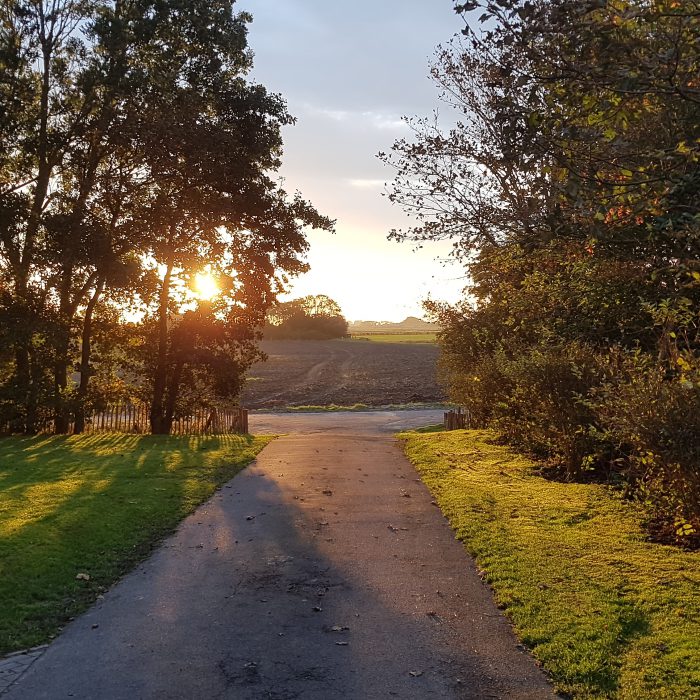 Ostfriesische Landschaft in Norden