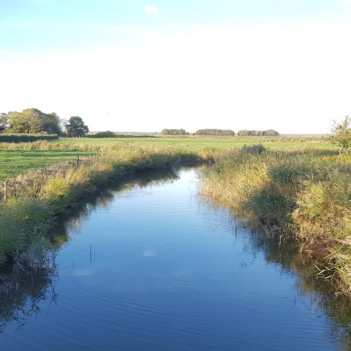 Ostfriesische Landschaft in Norden