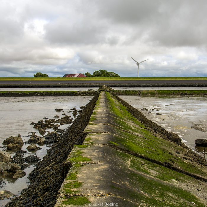 Ostfriesisches Wattenmeer am Ferienhof