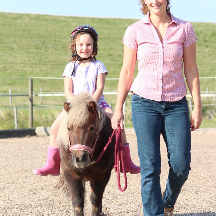 Ponys und Pferde im Nordseeurlaub