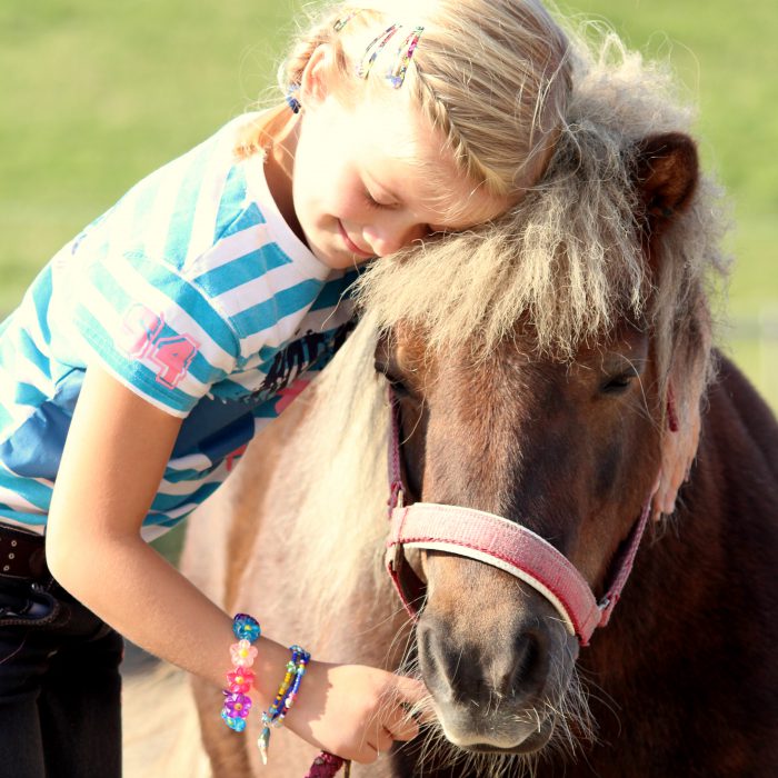 Ponys und Pferde im Nordseeurlaub